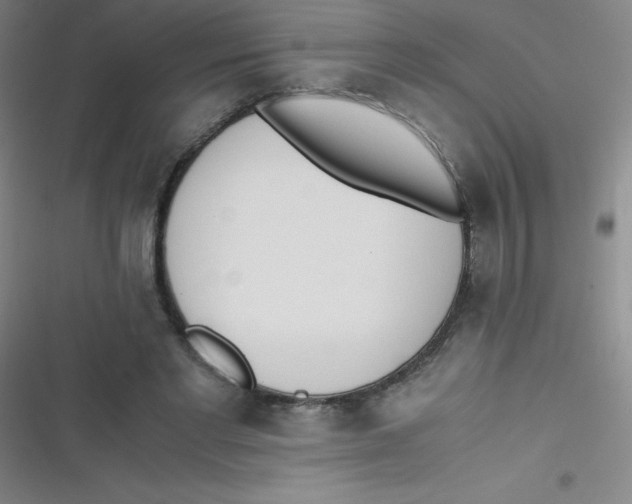 X0000116820493201001081420