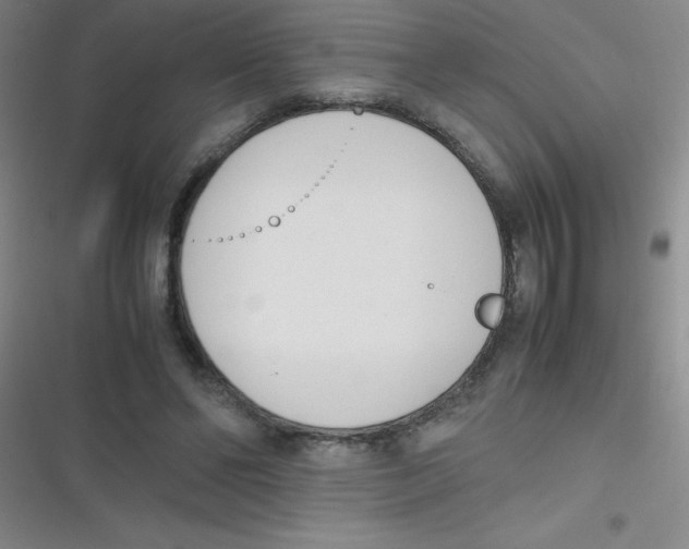 X0000116820494201001081420