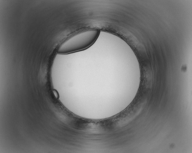 X0000116820496201001081420