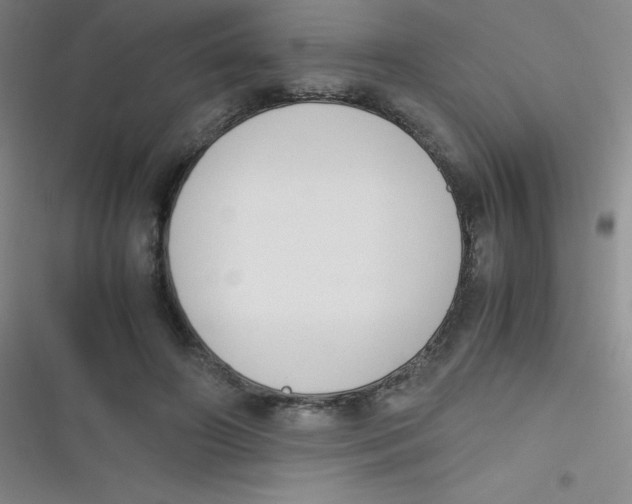 X0000116820498201001081420