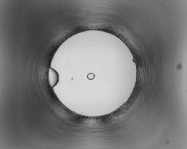 X0000116820499201001081420