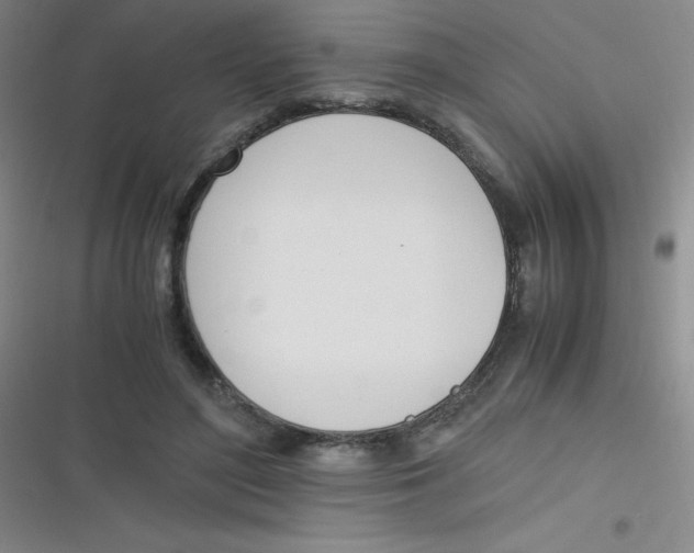 X0000116820500201001081420