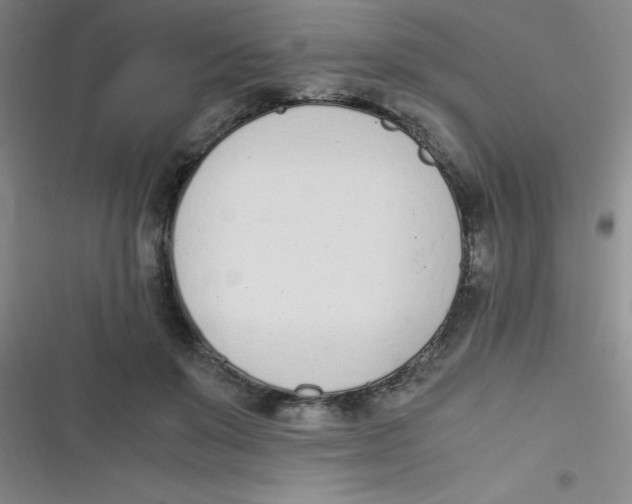 X0000116820503201001081420