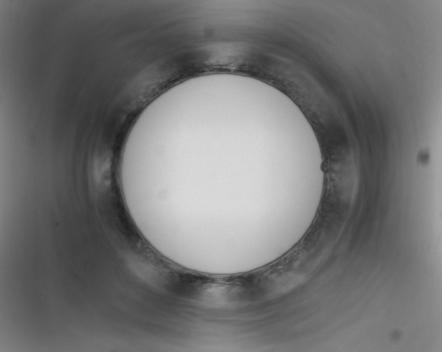 X0000116820504201001081420