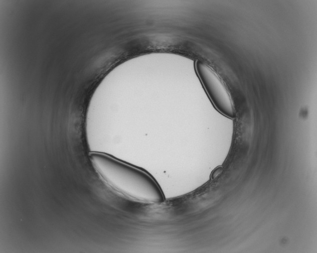 X0000116820505201001081420