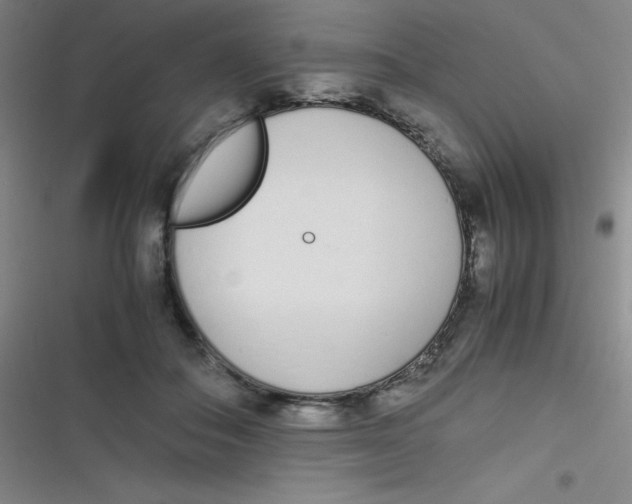 X0000116820506201001081419