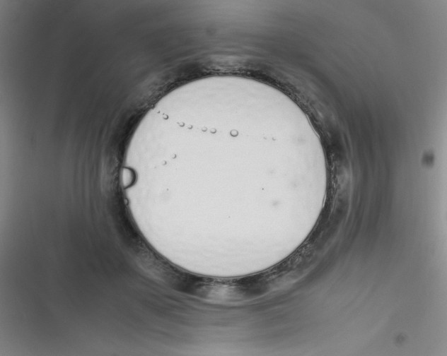 X0000116820507201001081419