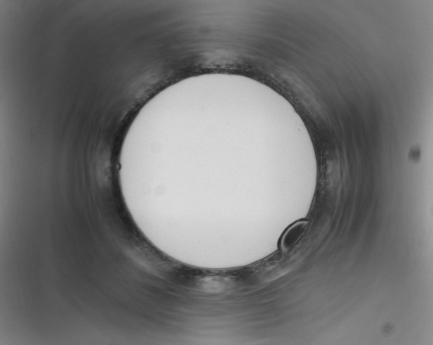 X0000116820508201001081419