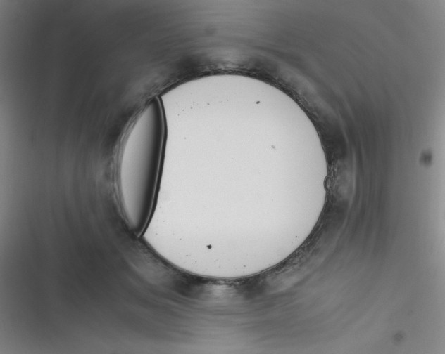 X0000116820509201001081419