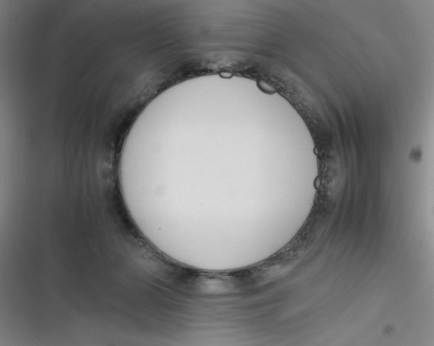 X0000116820510201001081419