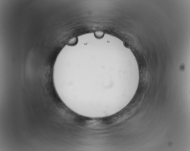 X0000116820511201001081419