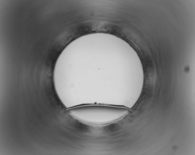 X0000116820513201001081419