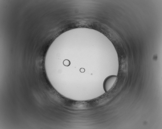 X0000116820514201001081419