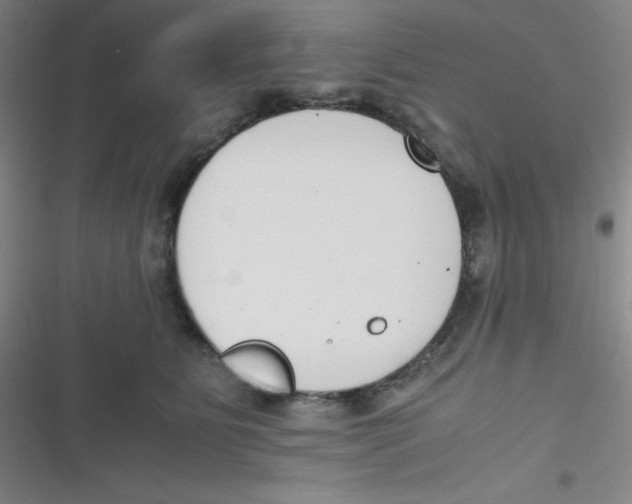 X0000116820515201001081419