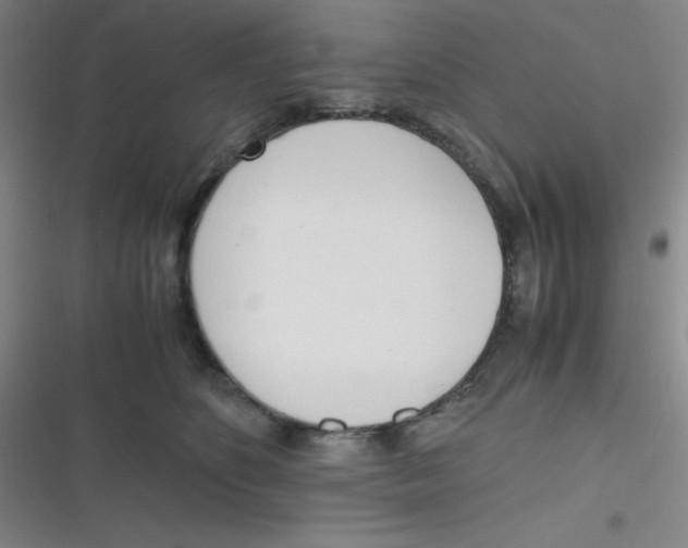 X0000116820516201001081419