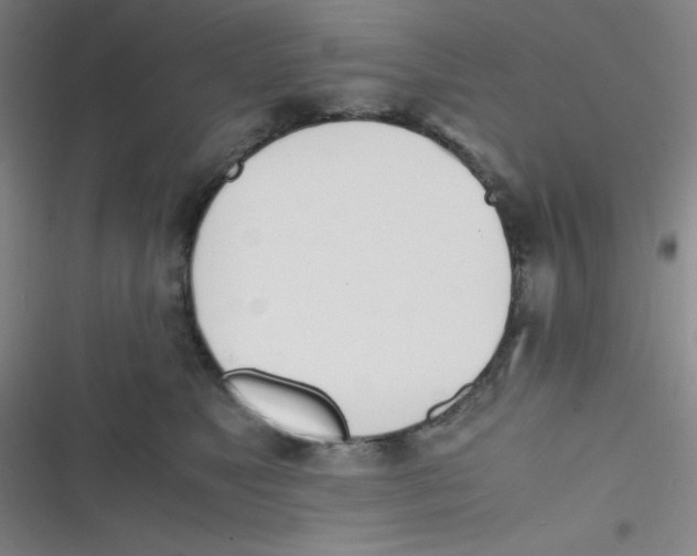 X0000116820517201001081419