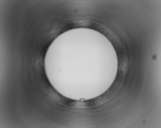 X0000116820518201001081419