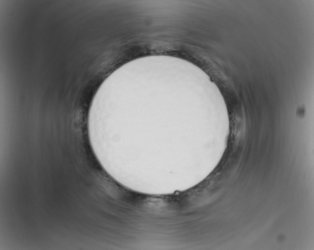 X0000116820519201001081419