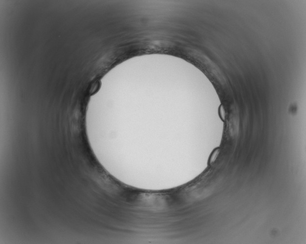 X0000116820520201001081419