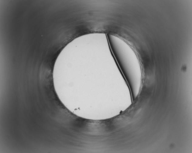 X0000116820521201001081419