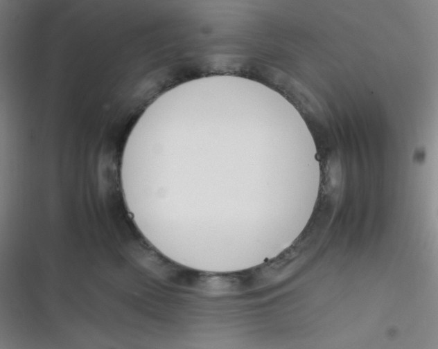 X0000116820522201001081419