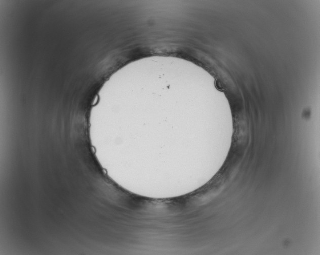 X0000116820523201001081419