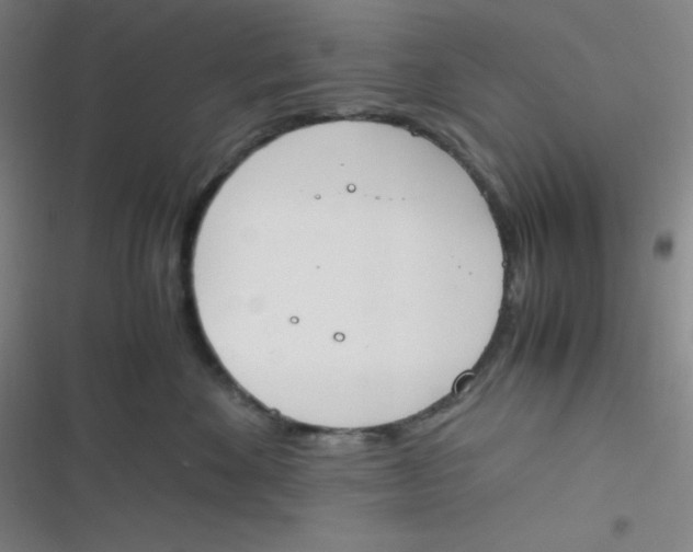 X0000116820524201001081419