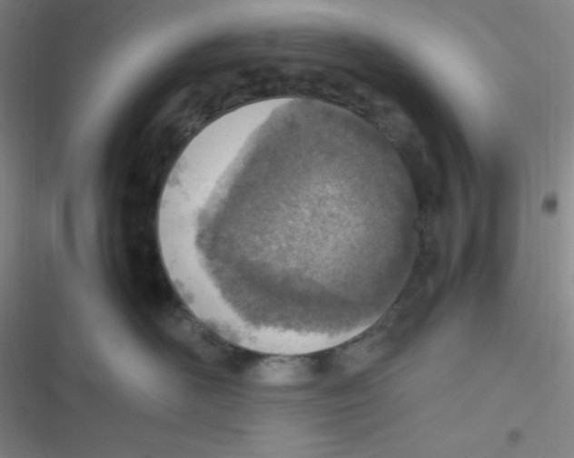 X0000116820526201001081419