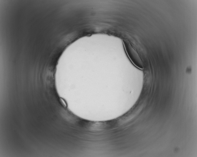 X0000116820527201001081419