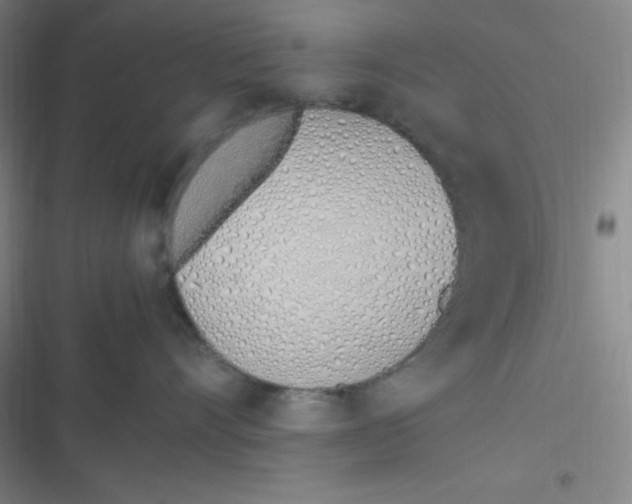 X0000116820528201001081419