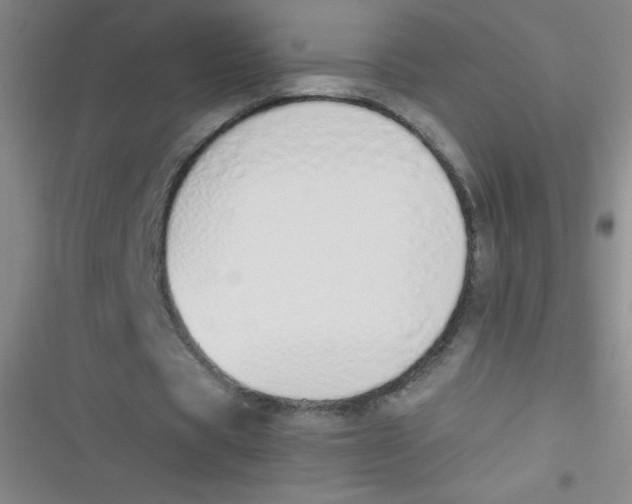 X0000116820529201001081419