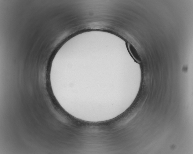 X0000116820530201001081419