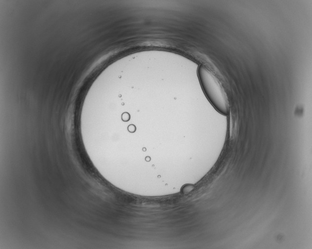 X0000116820531201001081419