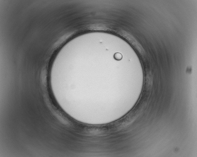 X0000116820533201001081419