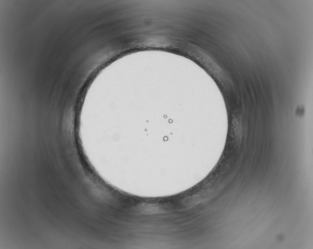 X0000116820534201001081419