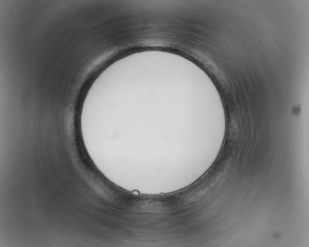 X0000116820535201001081419