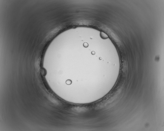 X0000116820537201001081419