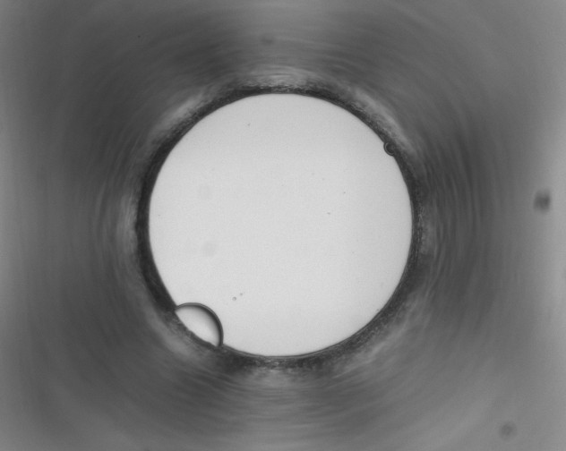 X0000116820538201001081419