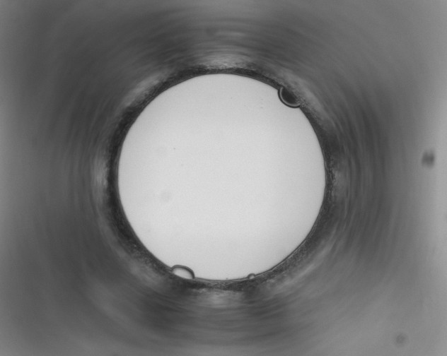 X0000116820539201001081419