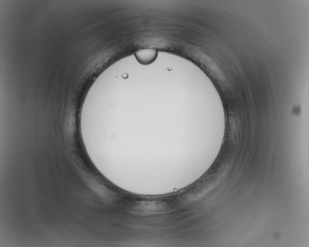 X0000116820541201001081419