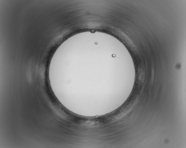 X0000116820542201001081419