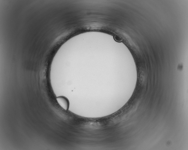 X0000116820543201001081419