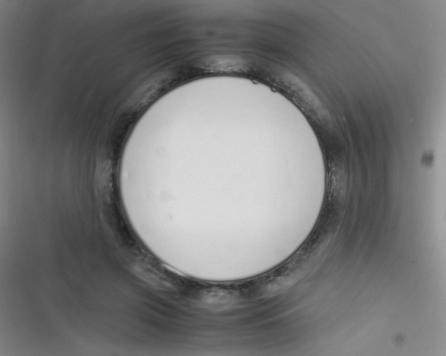 X0000116820549201001081419