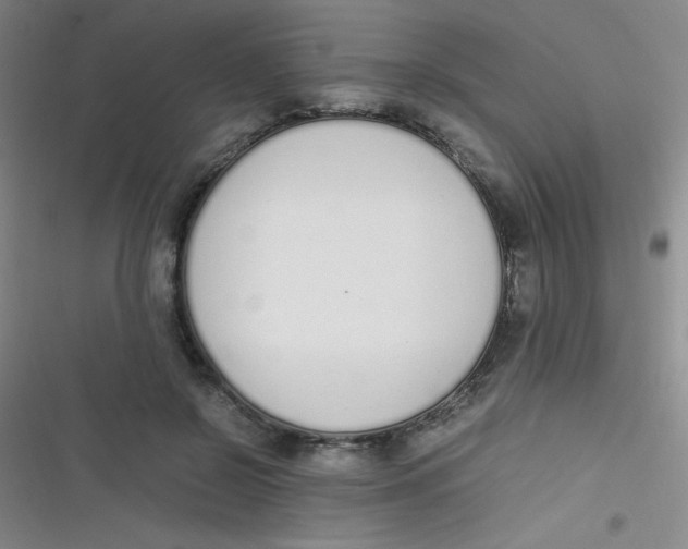 X0000116820550201001081419