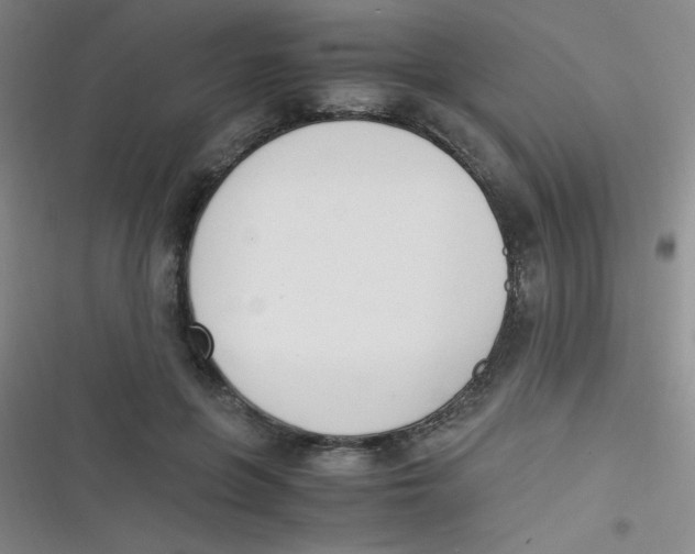 X0000116820551201001081419