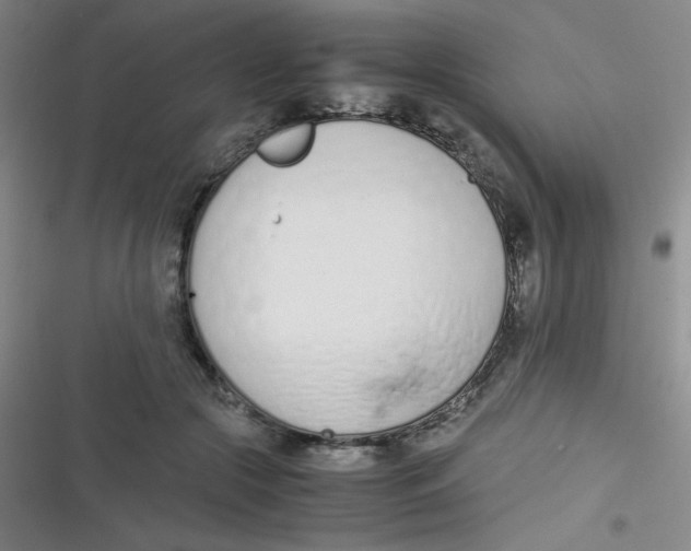 X0000116820553201001081419