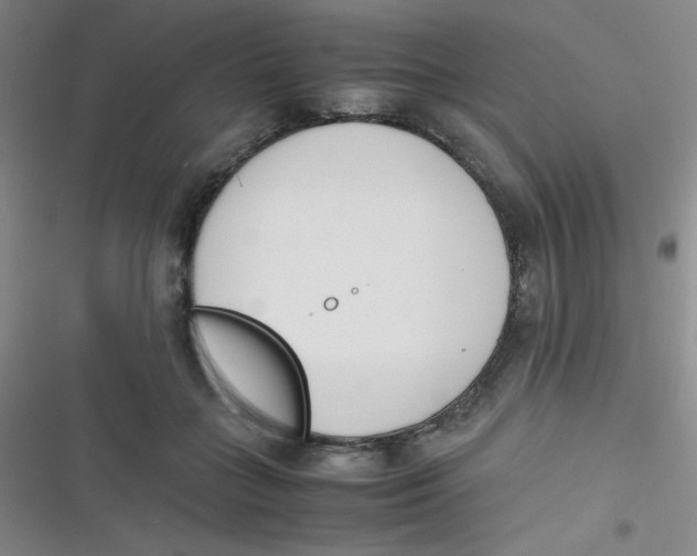 X0000116820555201001081419