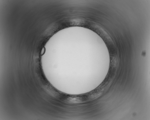 X0000116820557201001081419