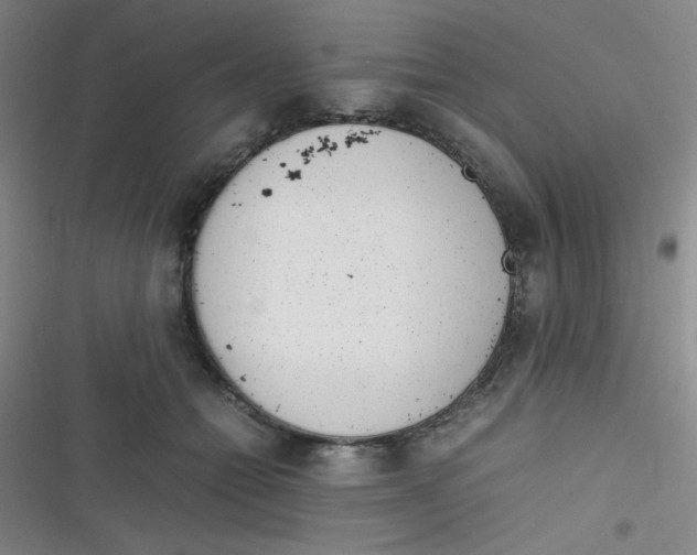 X0000116820558201001081419