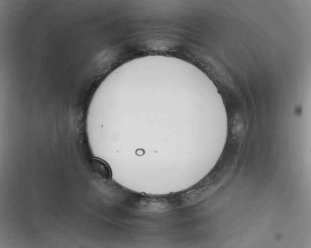 X0000116820559201001081419